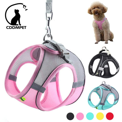 Dog lead and harness combo