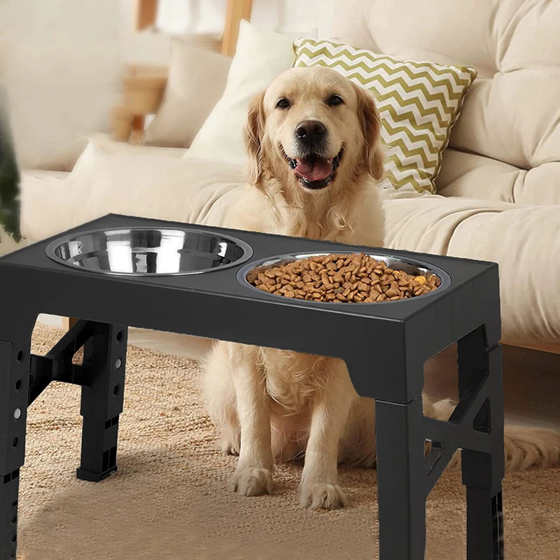 Raised Stand with Double Food Water Bowls