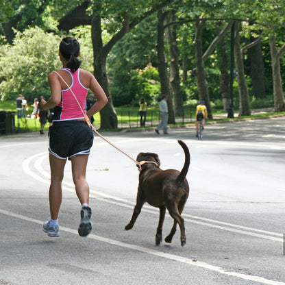 Hands Free Dog Traction Rope Leads