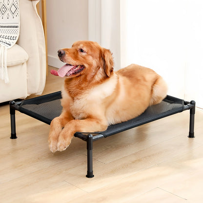 Raised Pet Bed for Dog and Cat