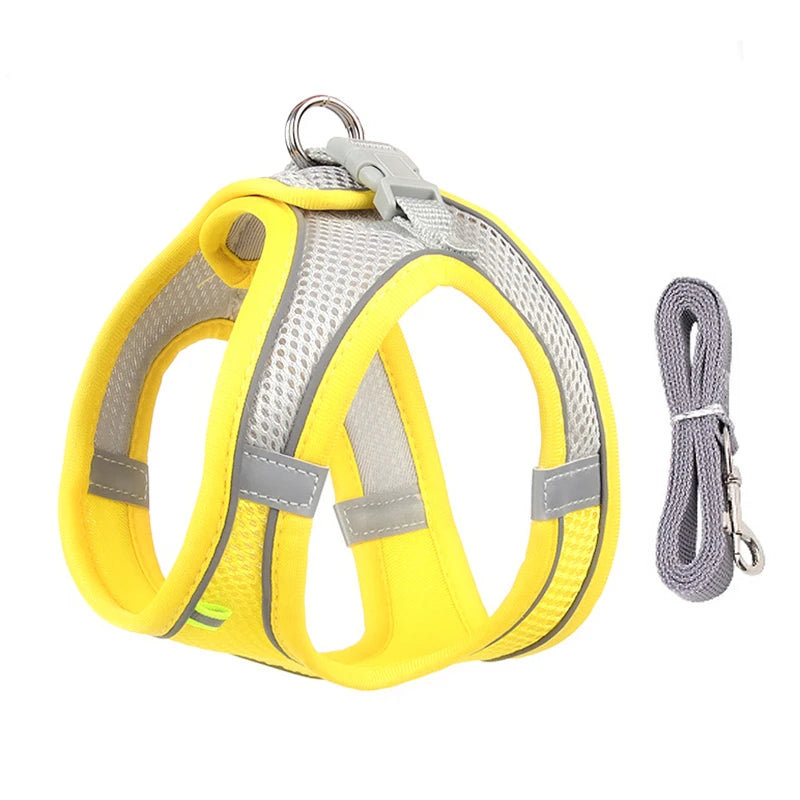 Dog lead and harness combo