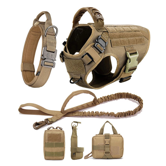 Dog Harness with Leash, Molle Pouches, and Walking Vest