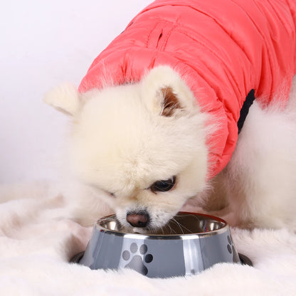 Stainless Steel Feeding Bowl for Cats and Dogs