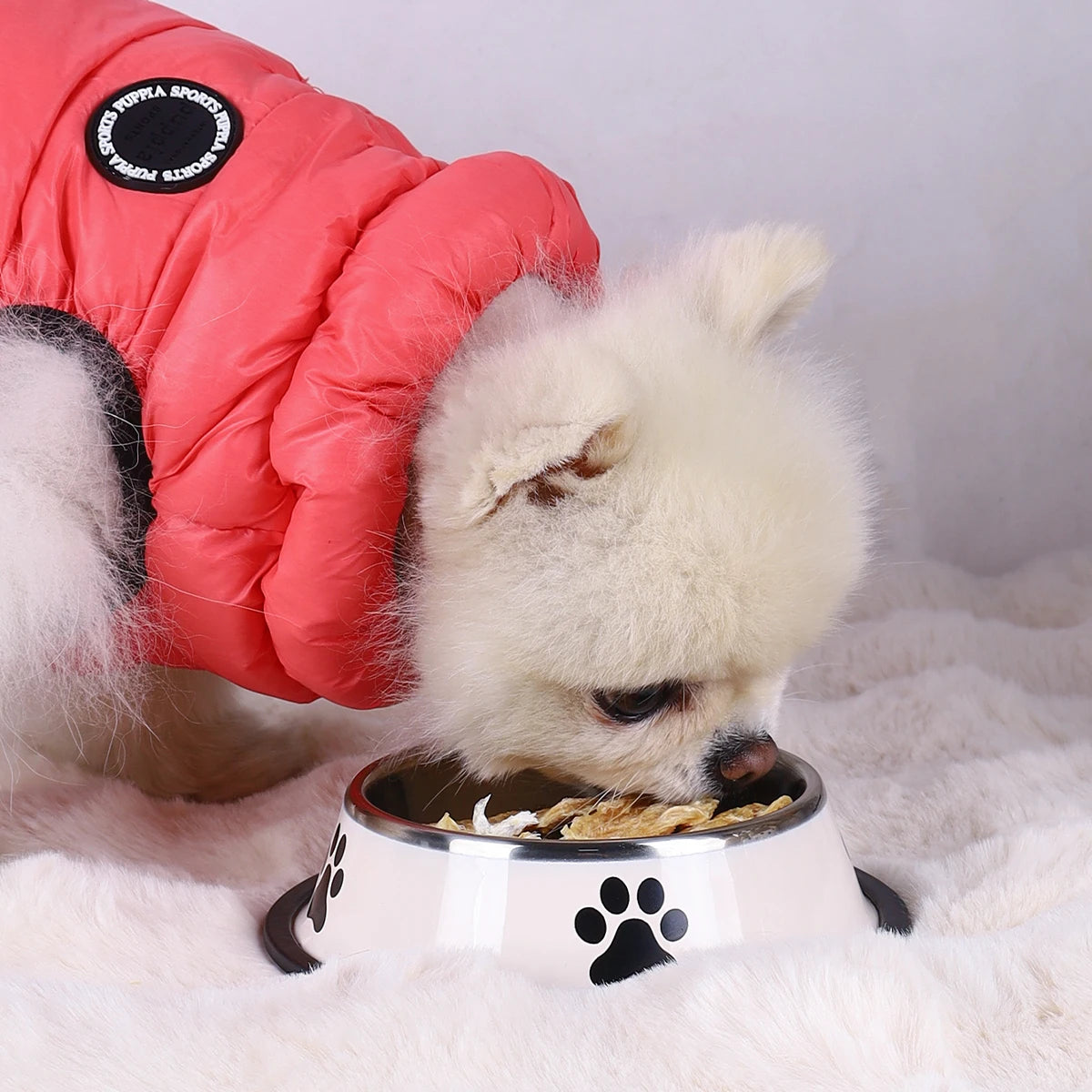 Stainless Steel Feeding Bowl for Cats and Dogs