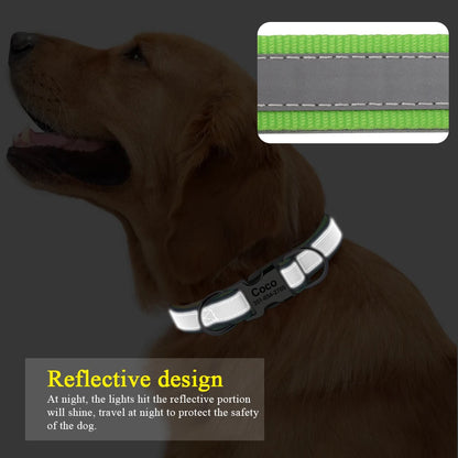 Personalized Reflective Dog Collars