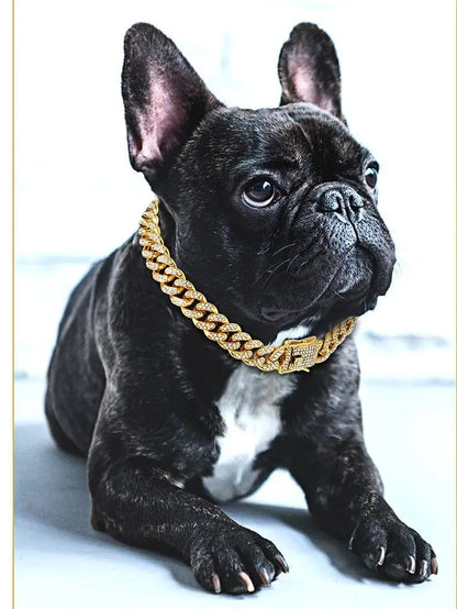 Diamond Cuban Link  Chain Collar for Dog and Cat