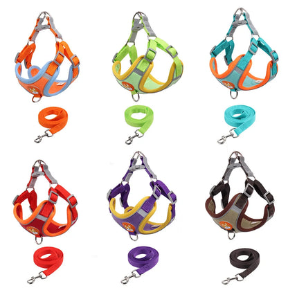 No Pull Dog Harness and Leash Australia