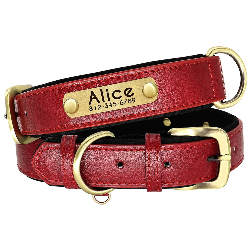 Leather Dog Collars and Leash Set