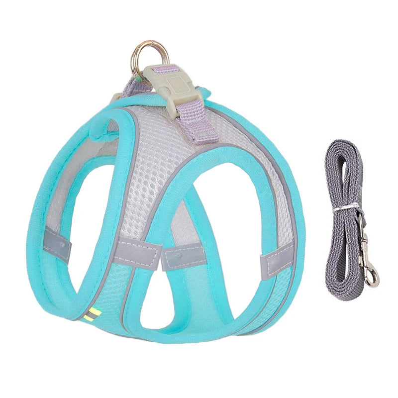 Dog lead and harness combo