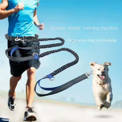 Extendable Hands Free Dog Leash