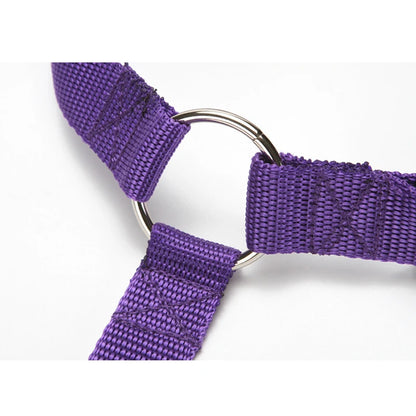 Dog Car Seat Belt and Leash