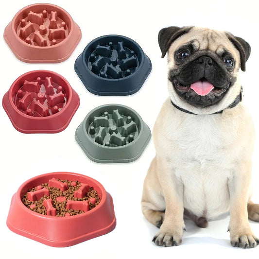 A dog multicolour slow feeder