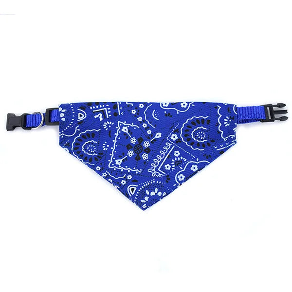 Blue scarf bandana collar dog