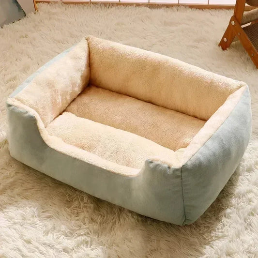 Dog beds australia with cozy cushions