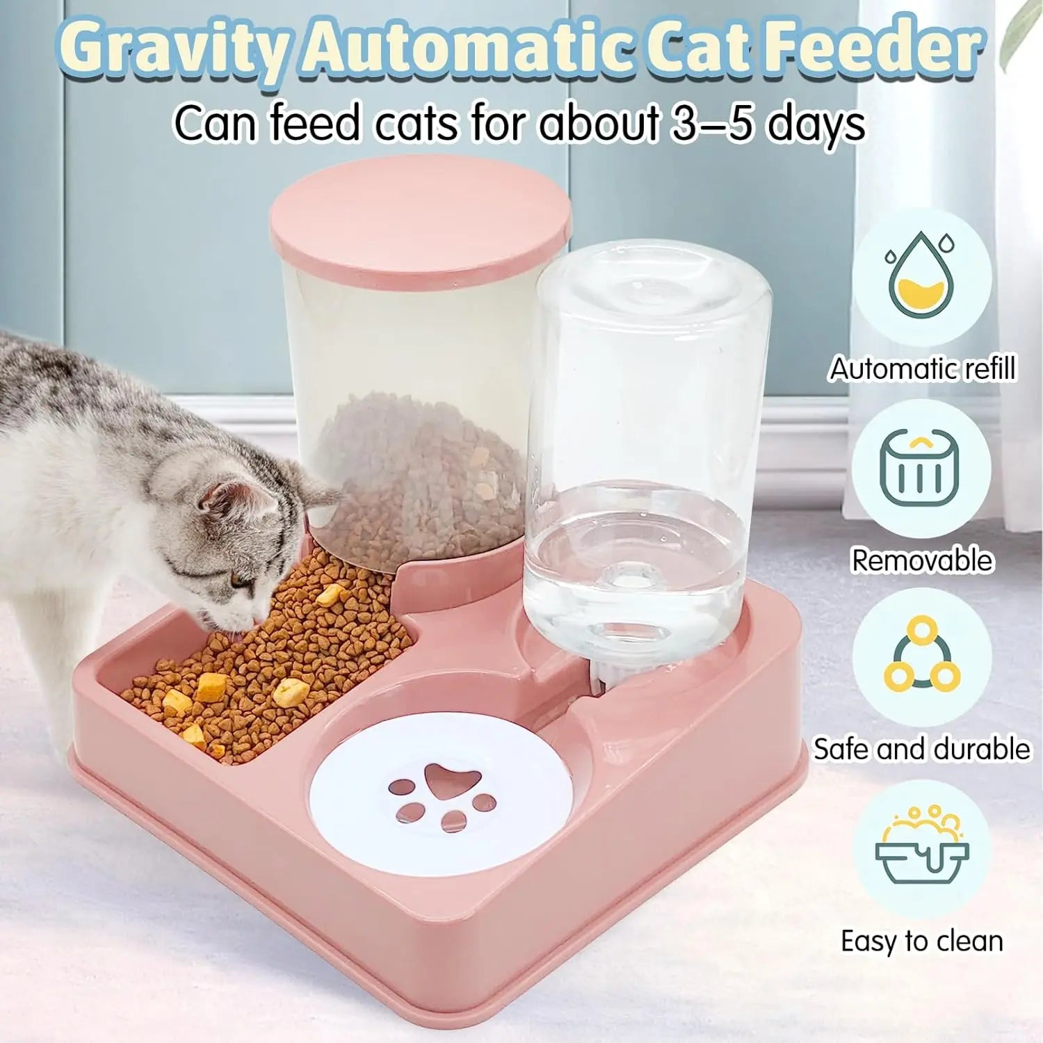 Feed cat with auto matic feeder